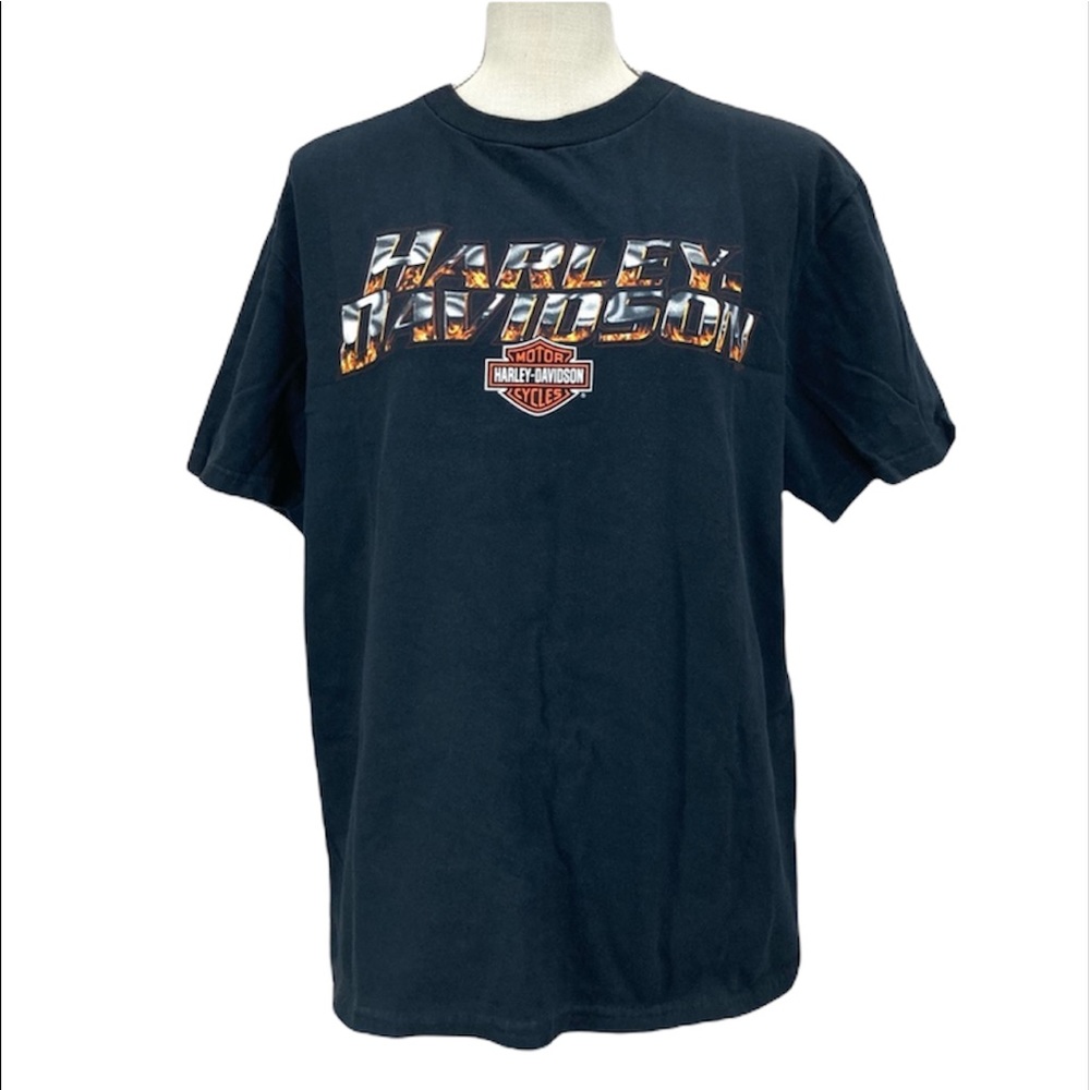 HARLEY-DAVIDSON Black Men’s/Unisex Short Sleeve Graphic Tee Shirt Size Large